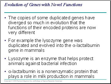 Evolution of Genes with Novel Functions