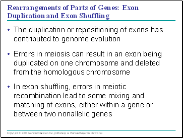 Rearrangements of Parts of Genes: Exon Duplication and Exon Shuffling