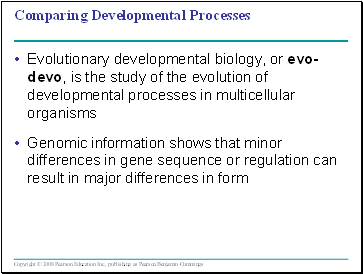 Comparing Developmental Processes