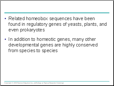 Related homeobox sequences have been found in regulatory genes of yeasts, plants, and even prokaryotes