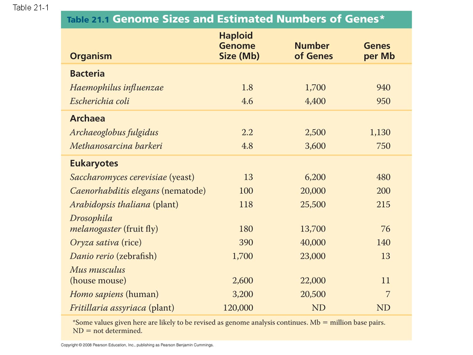 Genome Size