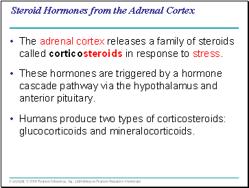 Steroid Hormones from the Adrenal Cortex