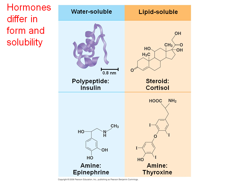 Are Lipids Water Soluble Water Ionizer