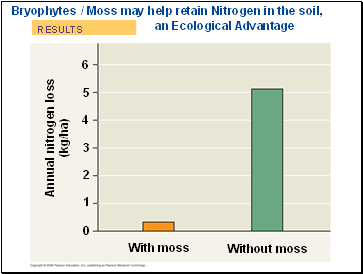 Bryophytes / Moss may help retain Nitrogen in the soil, an Ecological Advantage