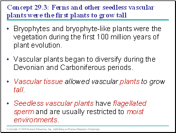 Concept 29.3: Ferns and other seedless vascular plants were the first plants to grow tall
