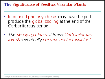 The Significance of Seedless Vascular Plants