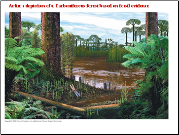 Artists depiction of a Carboniferous forest based on fossil evidence