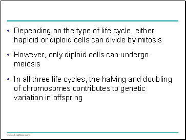 Depending on the type of life cycle, either haploid or diploid cells can divide by mitosis