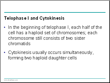 Telophase I and Cytokinesis