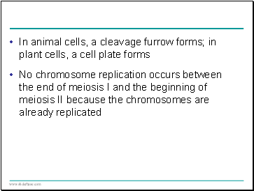 In animal cells, a cleavage furrow forms; in plant cells, a cell plate forms