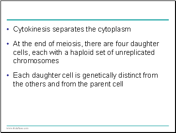 Cytokinesis separates the cytoplasm