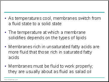 As temperatures cool, membranes switch from a fluid state to a solid state