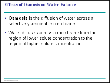 Effects of Osmosis on Water Balance