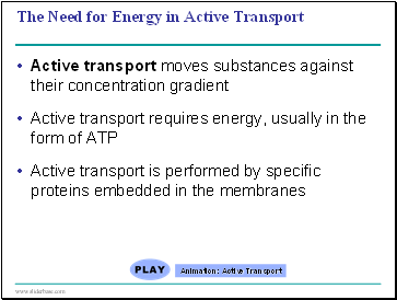 The Need for Energy in Active Transport