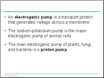 An electrogenic pump is a transport protein that generates voltage across a membrane