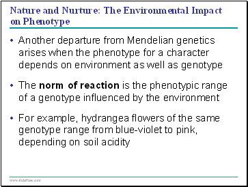 Nature and Nurture: The Environmental Impact on Phenotype