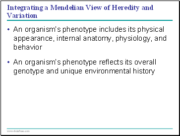 Integrating a Mendelian View of Heredity and Variation