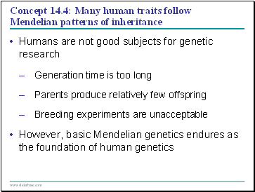 Concept 14.4: Many human traits follow Mendelian patterns of inheritance