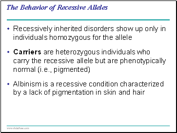 The Behavior of Recessive Alleles