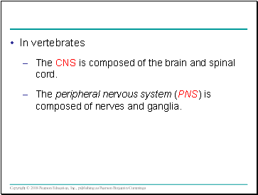 In vertebrates