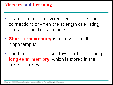 Memory and Learning