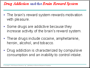 Drug Addiction and the Brain Reward System