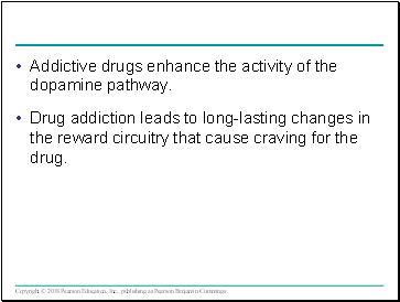 Addictive drugs enhance the activity of the dopamine pathway.