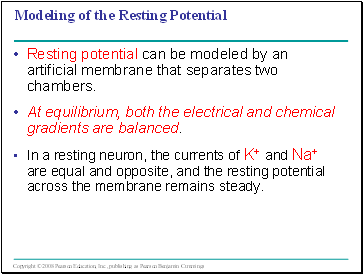Modeling of the Resting Potential