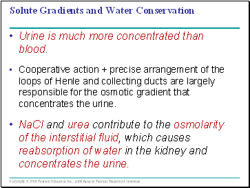 Solute Gradients and Water Conservation
