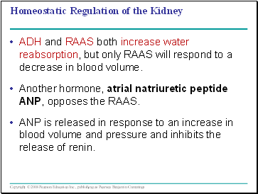 Homeostatic Regulation of the Kidney