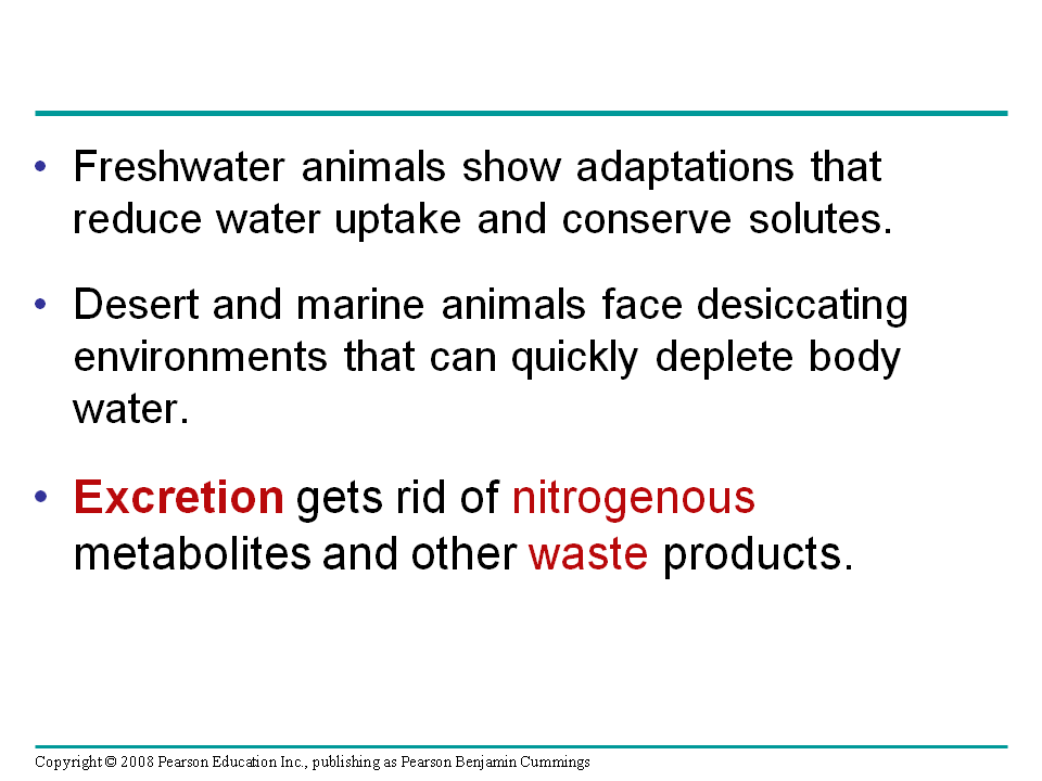 Osmoregulation And Excretion Presentation Biology