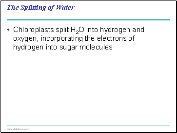 The Splitting of Water