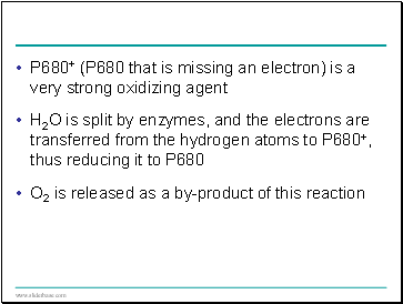 P680+ (P680 that is missing an electron) is a very strong oxidizing agent