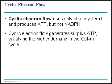 Cyclic Electron Flow