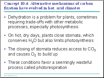 Concept 10.4: Alternative mechanisms of carbon fixation have evolved in hot, arid climates
