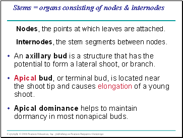 Stems = organs consisting of nodes & internodes