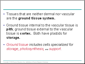 Tissues that are neither dermal nor vascular are the ground tissue system.