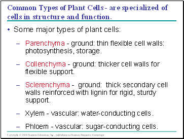 Common Types of Plant Cells - are specialized of cells in structure and function.