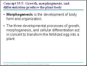 Concept 35.5: Growth, morphogenesis, and differentiation produce the plant body