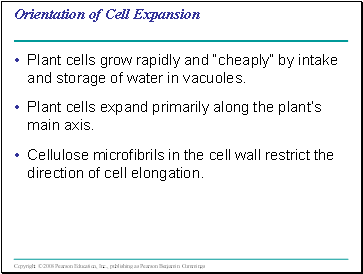 Orientation of Cell Expansion