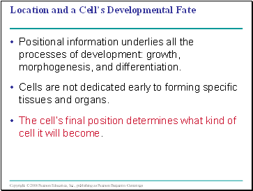 Location and a Cells Developmental Fate