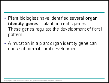 Plant biologists have identified several organ identity genes = plant homeotic genes. These genes regulate the development of floral pattern.