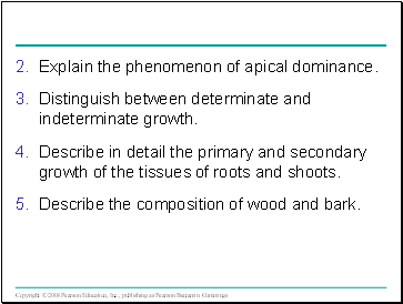 Explain the phenomenon of apical dominance.