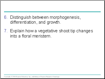 Distinguish between morphogenesis, differentiation, and growth.