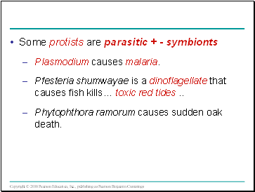 Some protists are parasitic + - symbionts