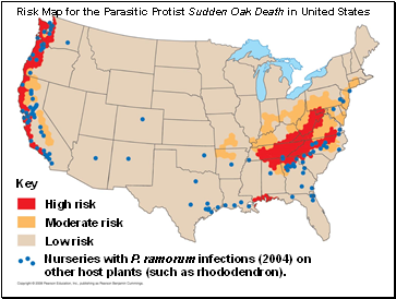 Risk Map for the Parasitic Protist Sudden Oak Death in United States