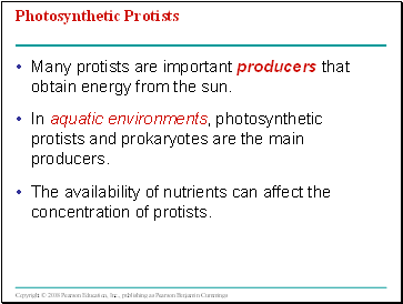 Photosynthetic Protists