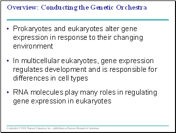 Regulation of Gene Expression