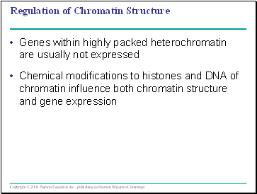 Regulation of Chromatin Structure