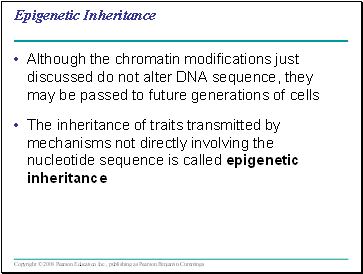 Epigenetic Inheritance